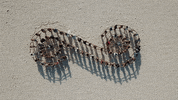 bsp GIF by Bending Spoons