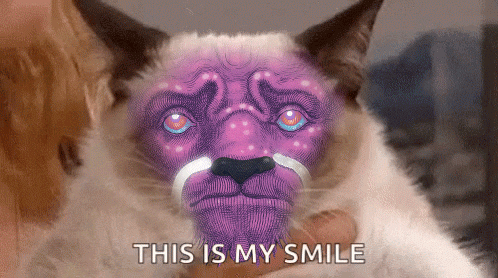 Grumpy Cat GIF by Jæn