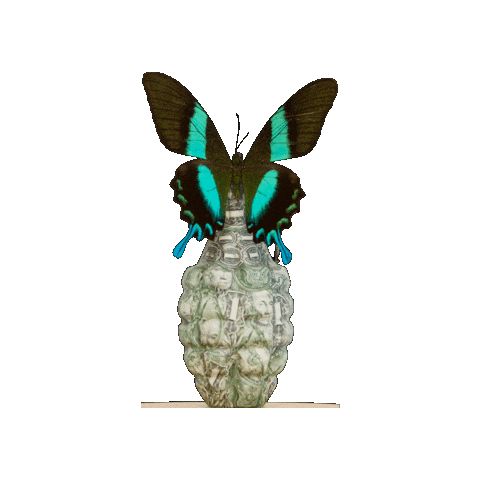 ARTTODISARM art butterfly bran atd Sticker