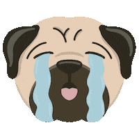 Sad Cry Sticker
