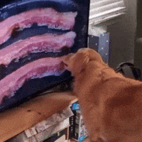 Hungry Breakfast Food GIF by Respective