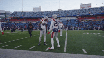 Football Nfl GIF by New England Patriots