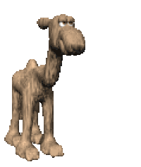 camel STICKER