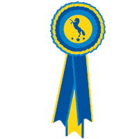 Rosette Vinnare Sticker by Equishapes