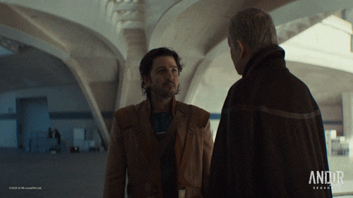 Cassian Andor GIF by Star Wars
