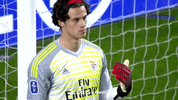 sl benfica goalkeeper GIF by Sport Lisboa e Benfica