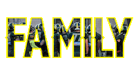 Football Nfl Sticker by IMPERIALSREUS