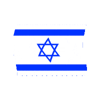Israel Flag Home Sticker by Nefesh B'Nefesh
