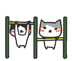 Cat Workout Sticker by yomoyeah
