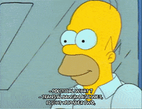 Season 1 GIF by The Simpsons