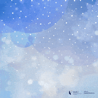Merry Christmas GIF by SMUAlumni