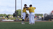 golden eagles dance GIF by Southern Miss Athletics