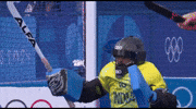 Celebration Hockey GIF