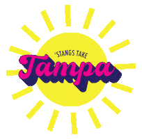 Sun Florida Sticker by Mustang Cheer