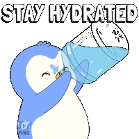 Stay Hydrated Drink Water Sticker by Pudgy Penguins