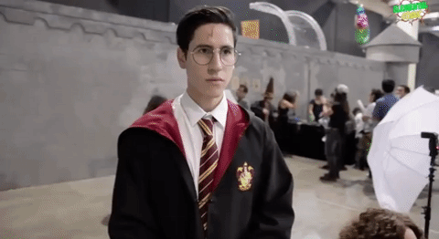 harrypotter GIF