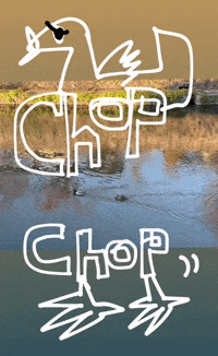 Go Chop Chop GIF by KaoruHironaka