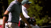 GIF by Wilson Golf