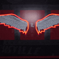 College Football Sport GIF by Louisville Cardinals