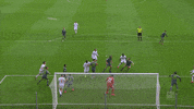 2. bundesliga football GIF by 1. FC Köln