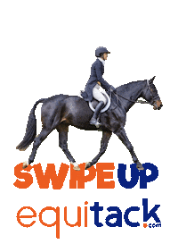 Horseback Riding Saddle Sticker by Equitack