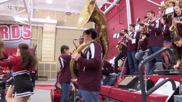 LafayetteLeopards band lafayette leopards roll pards GIF