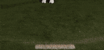 Lacrosse GIF by Lafayette Leopards