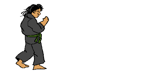 martial arts karate STICKER