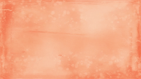 Congratulations Congrats GIF