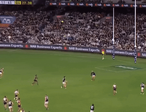 Carlton Blues Mark GIF by Carlton Football Club