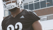 MercerBears football flex mercer mercer bears GIF