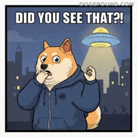 Crypto Wow GIF by Doge Pound