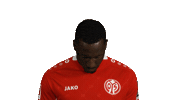 Look Up Mainz 05 Sticker by Bundesliga