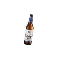 Beer Cheers Sticker by radeberger