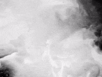 Shut Up GIF by Nettspend