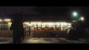 cat lol GIF