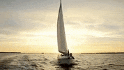 virginia GIF
