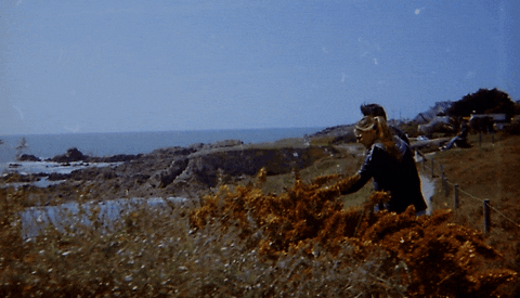 dominiklange34ca giphyupload GIF