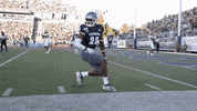 NevadaWolfPack football nevada wolf pack unr GIF