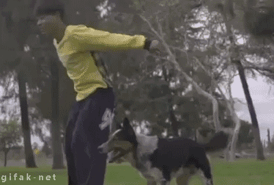 bro synchronization GIF