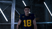 Go Blue Ncaa Football GIF by Michigan Athletics