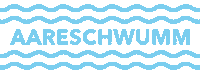 Aare Aareschwimmen Sticker by Stadt Thun