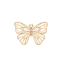 Jewelry Naturaleza Sticker by Gryega