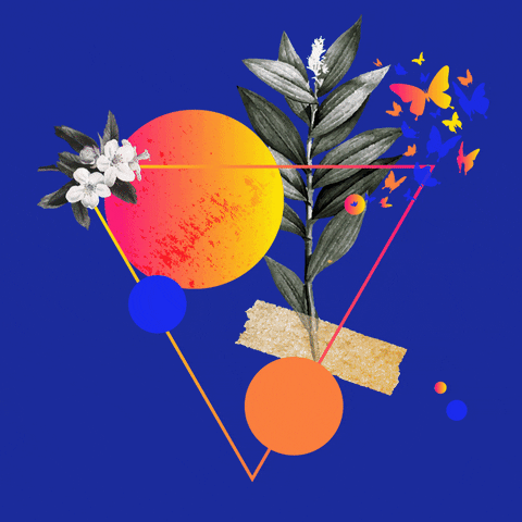 painttheworld giphyupload birth mushrooms symbols GIF