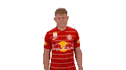 Lets Go Goal Sticker by FC Red Bull Salzburg