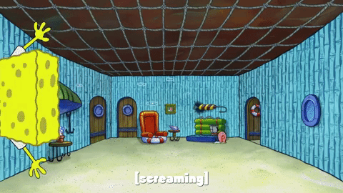 season 9 episode 24 GIF by SpongeBob SquarePants