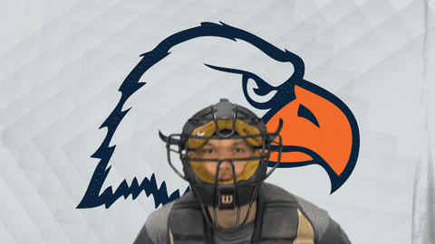 Cnbb21 GIF by Carson-Newman Athletics