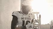 North Carolina Pack GIF by NC State Athletics