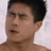 Gifs For Ants GIF