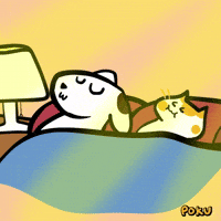 Good Morning Cat GIF by Poku Meow